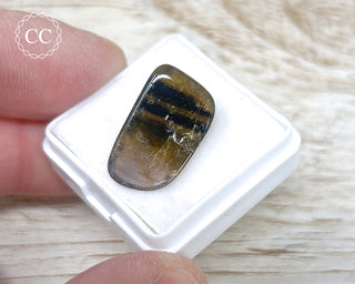 Liddicoatite Tourmaline Slice #22