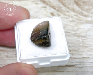 Liddicoatite Tourmaline Slice #22