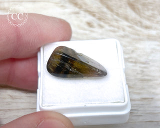 Liddicoatite Tourmaline Slice #22