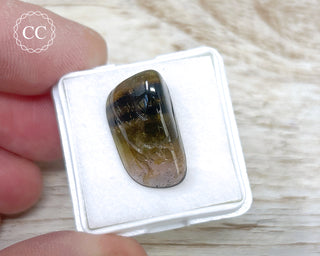 Liddicoatite Tourmaline Slice #22