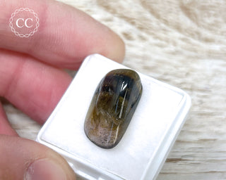 Liddicoatite Tourmaline Slice #22