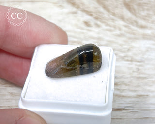 Liddicoatite Tourmaline Slice #22