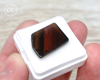 Liddicoatite Tourmaline Slice #3