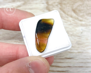 Liddicoatite Tourmaline Slice #1