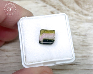 Liddicoatite Tourmaline Slice #24