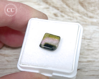 Liddicoatite Tourmaline Slice #24