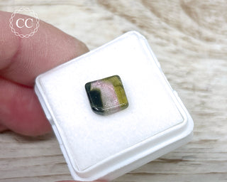 Liddicoatite Tourmaline Slice #24