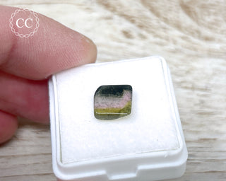 Liddicoatite Tourmaline Slice #24