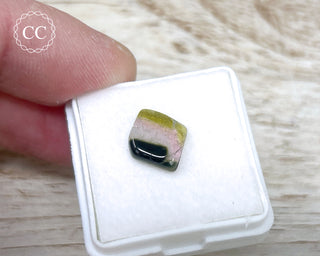 Liddicoatite Tourmaline Slice #24