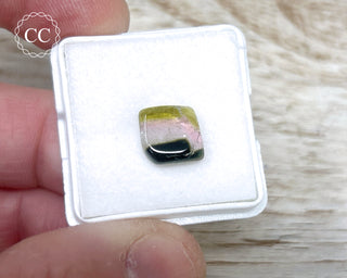 Liddicoatite Tourmaline Slice #24