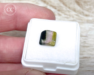 Liddicoatite Tourmaline Slice #24
