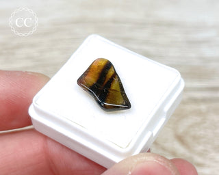 Liddicoatite Tourmaline Slice #4