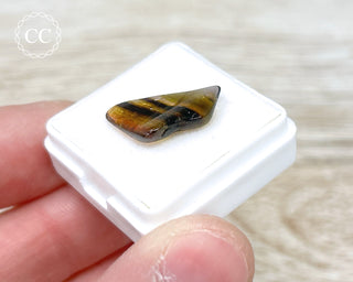 Liddicoatite Tourmaline Slice #4