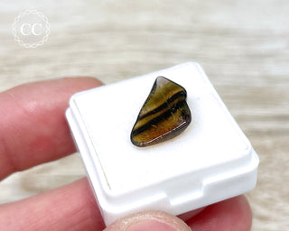 Liddicoatite Tourmaline Slice #4