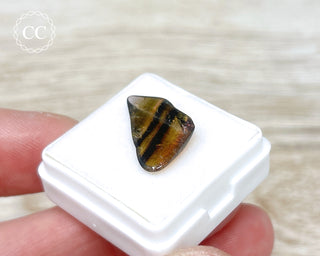 Liddicoatite Tourmaline Slice #4