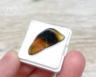 Liddicoatite Tourmaline Slice #1