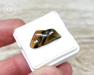 Liddicoatite Tourmaline Slice #4