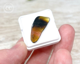 Liddicoatite Tourmaline Slice #1