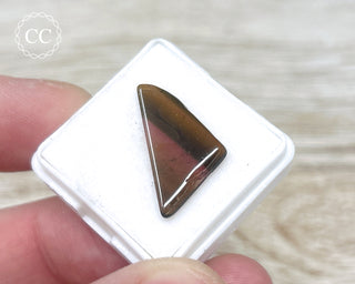Liddicoatite Tourmaline Slice #6