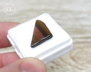 Liddicoatite Tourmaline Slice #6