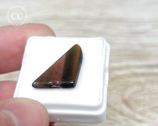 Liddicoatite Tourmaline Slice #6