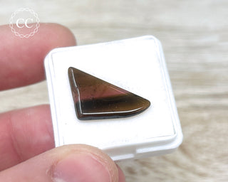 Liddicoatite Tourmaline Slice #6
