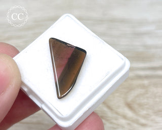 Liddicoatite Tourmaline Slice #6