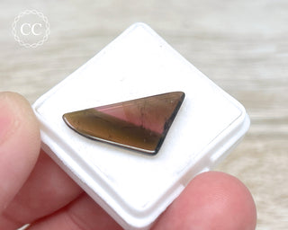 Liddicoatite Tourmaline Slice #6