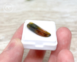 Liddicoatite Tourmaline Slice #1