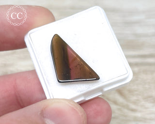 Liddicoatite Tourmaline Slice #6