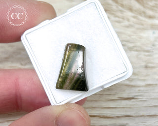 Liddicoatite Tourmaline Slice #7