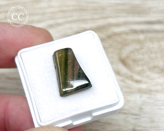 Liddicoatite Tourmaline Slice #7