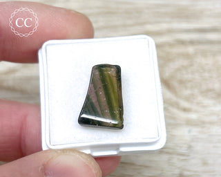 Liddicoatite Tourmaline Slice #7