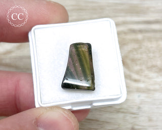 Liddicoatite Tourmaline Slice #7