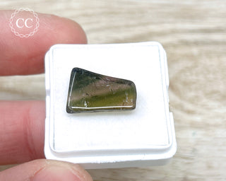 Liddicoatite Tourmaline Slice #7