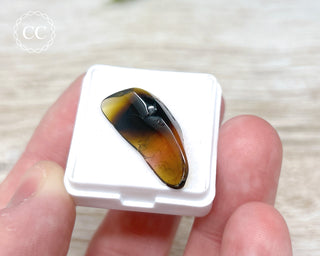 Liddicoatite Tourmaline Slice #1