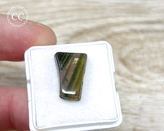 Liddicoatite Tourmaline Slice #7