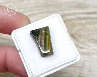 Liddicoatite Tourmaline Slice #7