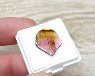 Liddicoatite Tourmaline Slice #8