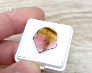 Liddicoatite Tourmaline Slice #8