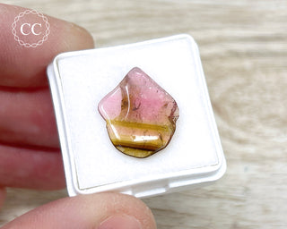 Liddicoatite Tourmaline Slice #8