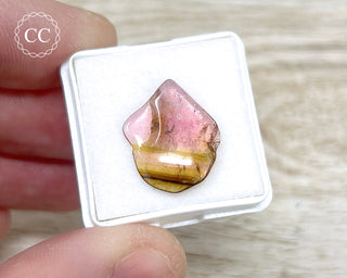 Liddicoatite Tourmaline Slice #8