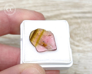 Liddicoatite Tourmaline Slice #8