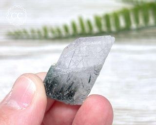 Lilac Apatite with Actinolite Inclusions #1