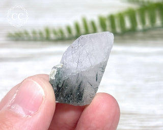 Lilac Apatite with Actinolite Inclusions #1