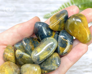 Lion Skin Tumbled Crystal