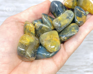 Lion Skin Tumbled Crystal
