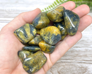 Lion Skin Tumbled Crystal