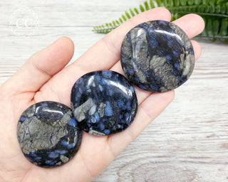 Llanite - Que Sera Palm Stone