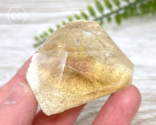 Lodolite / Garden Quartz Freeform #10